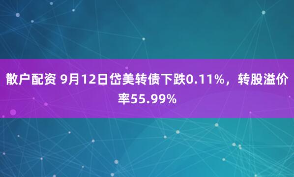 散户配资 9月12日岱美转债下跌0.11%，转股溢价率55.99%