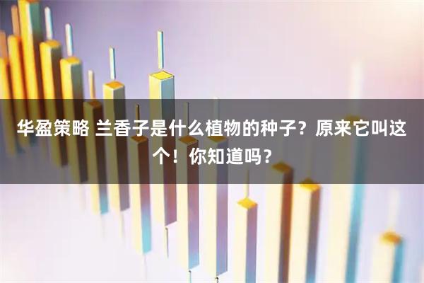 华盈策略 兰香子是什么植物的种子？原来它叫这个！你知道吗？