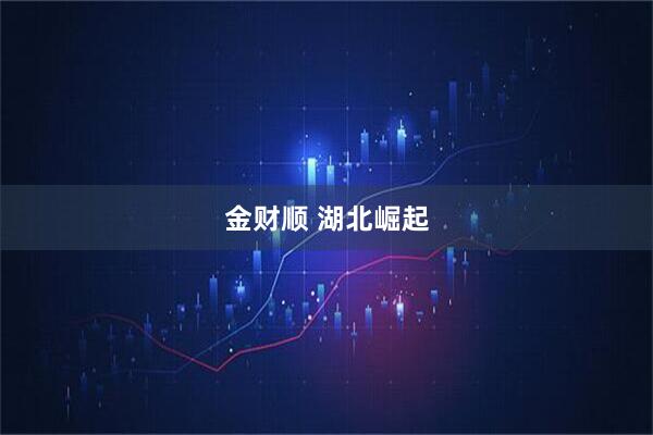 金财顺 湖北崛起